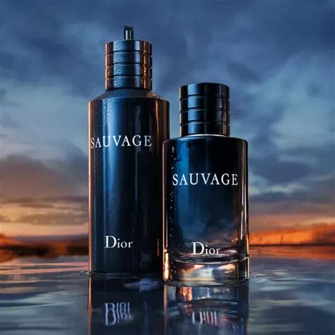 profumi dior lei imitazioni|Top 4 Profumi Equivalenti a Dior Sauvage: Scopri le Migliori .